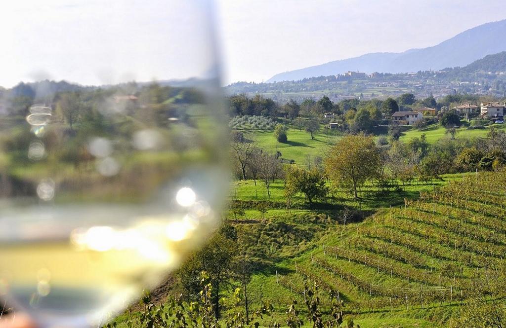 Wine Hotel San Giacomo Activity&Wellness Paderno del Grappa Esterno foto