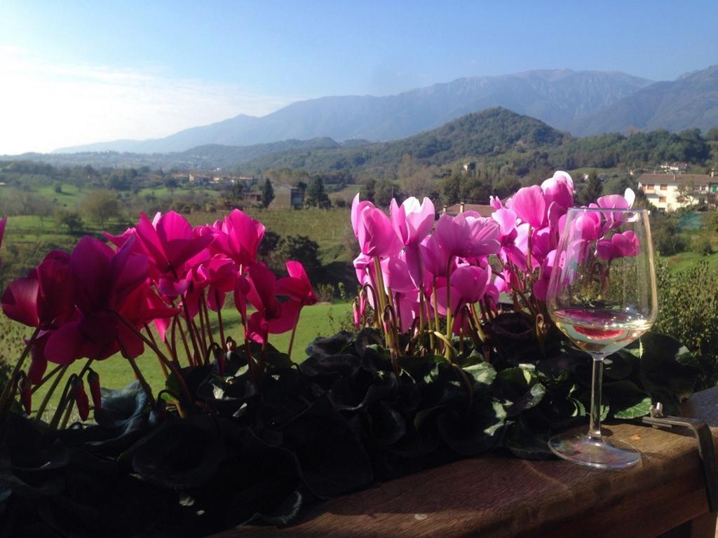 Wine Hotel San Giacomo Activity&Wellness Paderno del Grappa Esterno foto