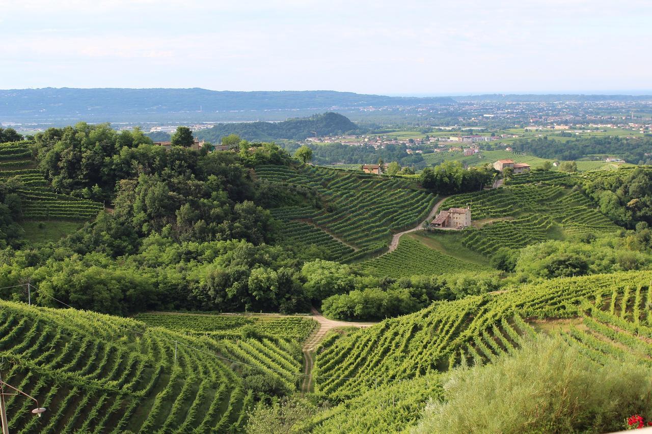 Wine Hotel San Giacomo Activity&Wellness Paderno del Grappa Esterno foto