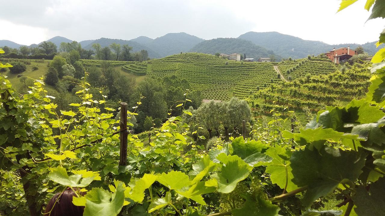 Wine Hotel San Giacomo Activity&Wellness Paderno del Grappa Esterno foto